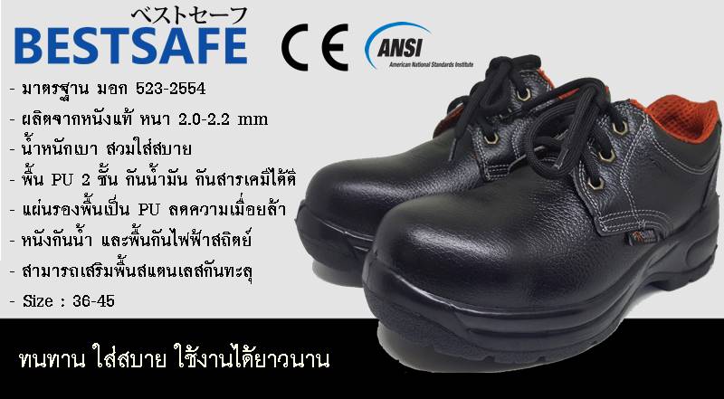 http://thailandsafety.com/wp-content/uploads/2016/08/SS10-safety-shoe-2.jpg
